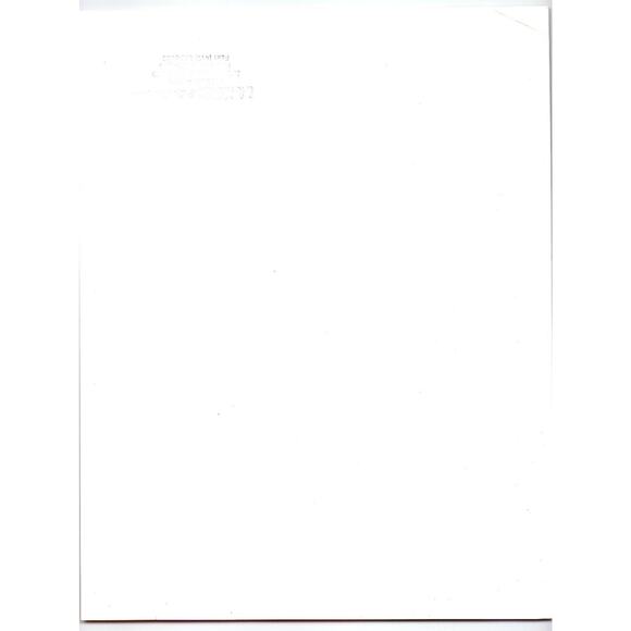 Gal's Panic II 1990s Kaneko Arcade Game Flyer Buffalo Grove IL - Picture 2 of 2